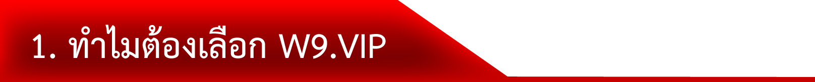 1. ทำไมต้องเลือก W9.VIP