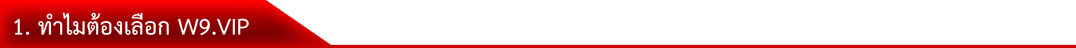 1. ทำไมต้องเลือก W9.VIP